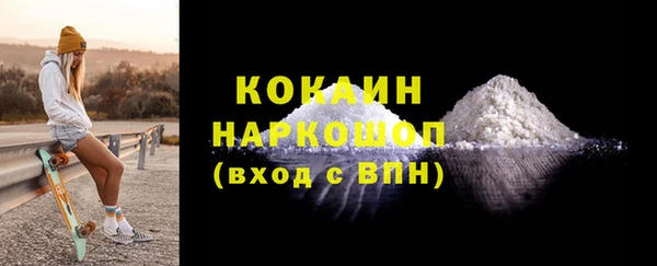 СК Строитель