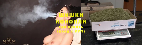 СК Строитель