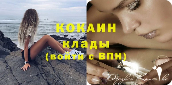 СК Строитель