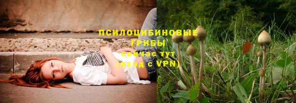 МДПВ Струнино