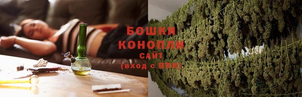 СК Строитель