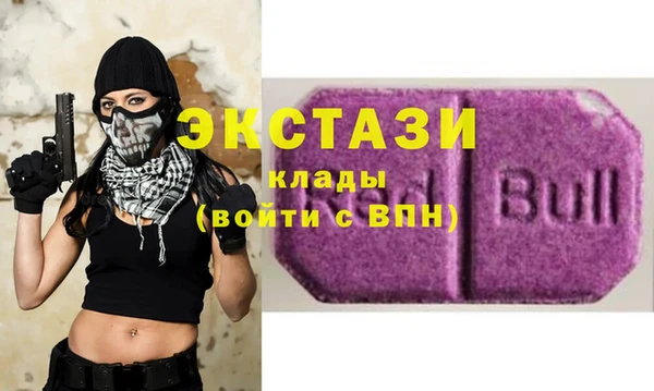 СК Строитель